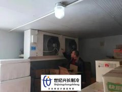100吨保鲜库造价多少钱