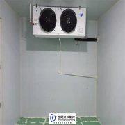 成都40立方小型鲜花冷库案例