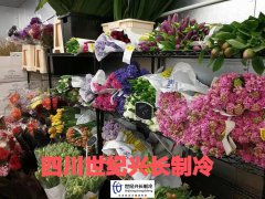 5一6平米的小型鲜花冷库-鲜花冷库可以保鲜多久 -鲜花存放技术