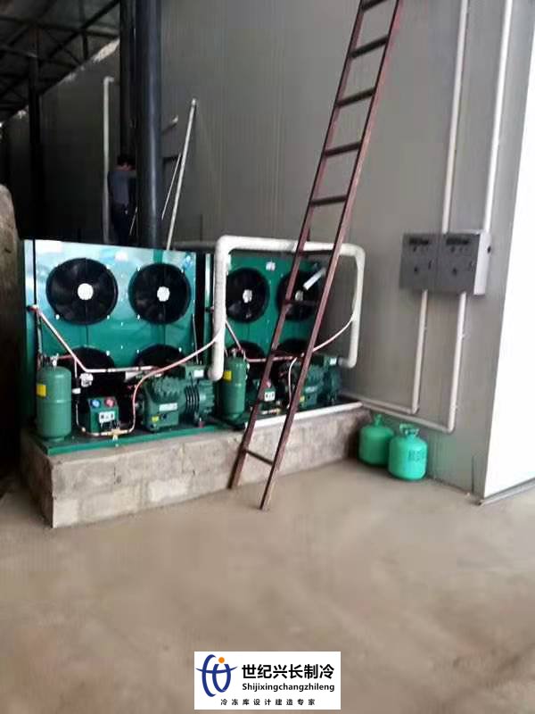建造一个猪肉速冻冷库需要多少钱?
